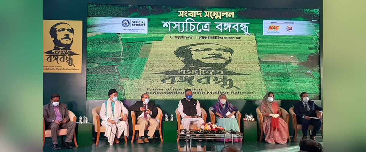 শস্যে শস্যে বঙ্গবন্ধুর ছবি, হবে গিনেজ বুক রেকর্ড শস্যে শস্যে বঙ্গবন্ধুর ছবি, হবে গিনেজ বুক রেকর্ড
