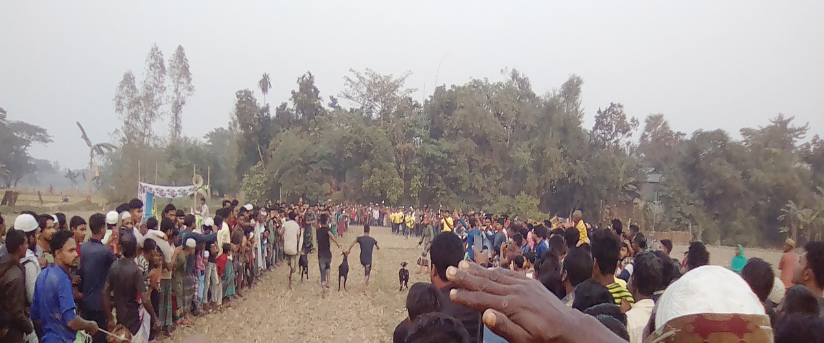 ছাগলদৌড় দেখতে হাজারো মানুষের ভিড় ছাগলদৌড় দেখতে হাজারো মানুষের ভিড়