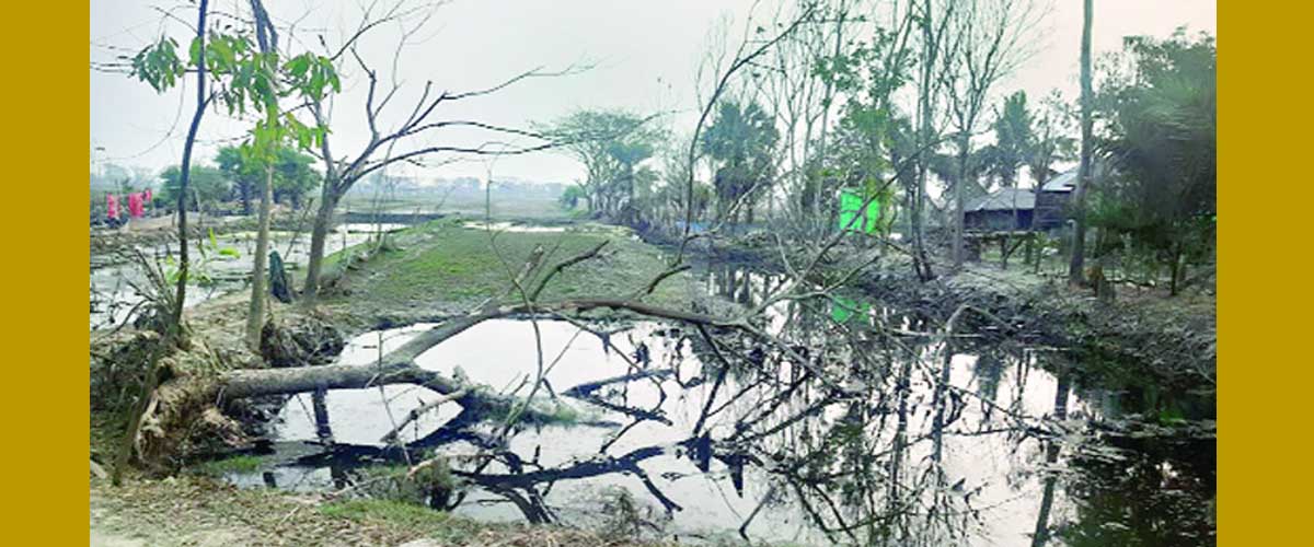 গাঁয়ে গাঁয়ে 'নিমকহারাম' গাঁয়ে গাঁয়ে 'নিমকহারাম'
