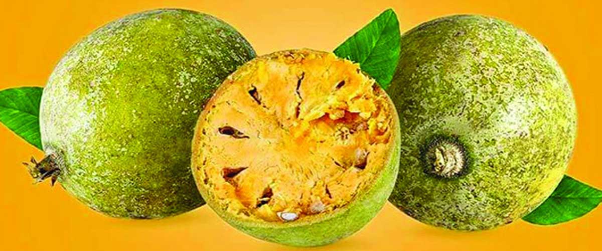 রোগ প্রতিরোধ করবে বেল রোগ প্রতিরোধ করবে বেল