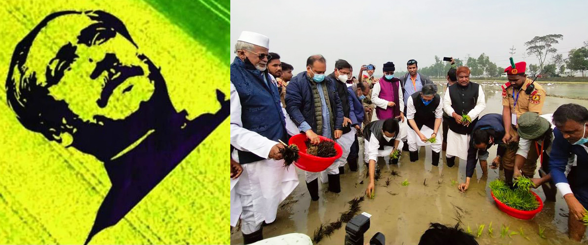 রেকর্ড গড়তে ১০০ বিঘায় ধানের চারায় বঙ্গবন্ধুকে আঁকা শুরু রেকর্ড গড়তে ১০০ বিঘায় ধানের চারায় বঙ্গবন্ধুকে আঁকা শুরু