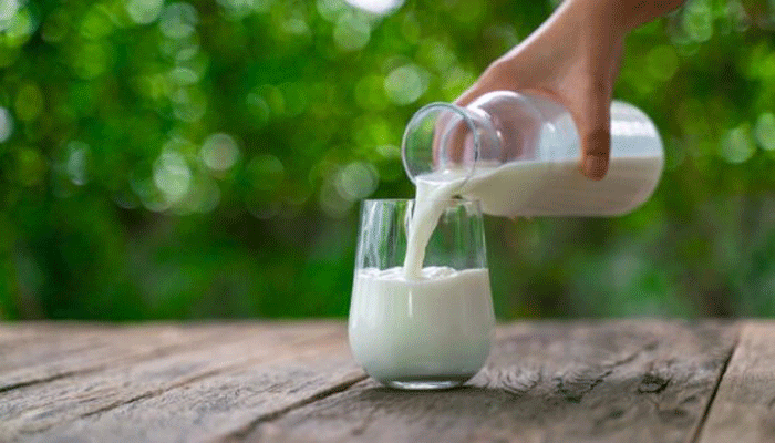দুধের সঙ্গে খাওয়া ঠিক নয় যেসব খাবার