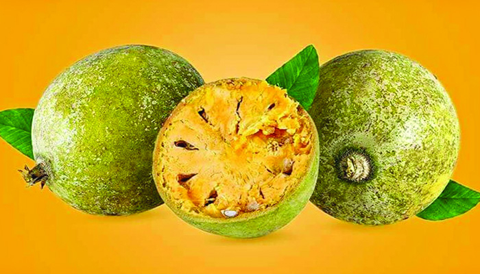 রোগ প্রতিরোধ করবে বেল