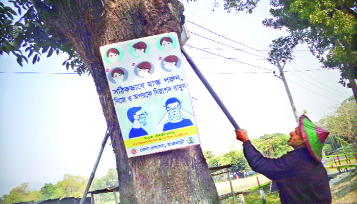 গাছের জন্য ভালোবাসা