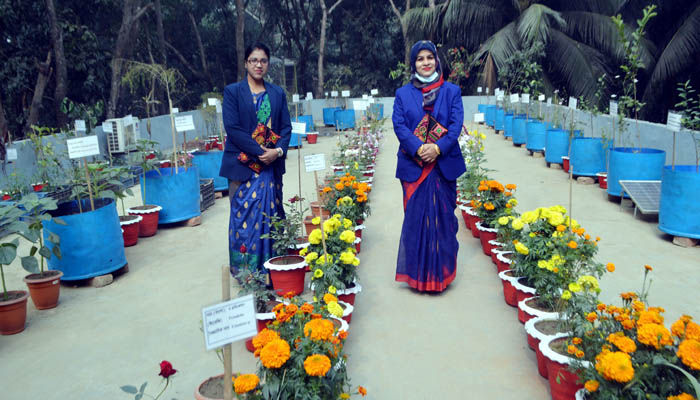 ইউএনও'র ছাদ বাগান উদ্বোধন করলেন ডিসি