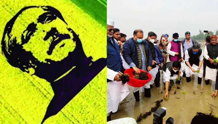 রেকর্ড গড়তে ১০০ বিঘায় ধানের চারায় বঙ্গবন্ধুকে আঁকা শুরু