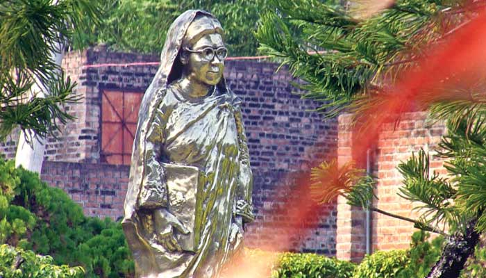 বর্তমানে টিকে যাওয়া, ভবিষ্যতের শঙ্কা