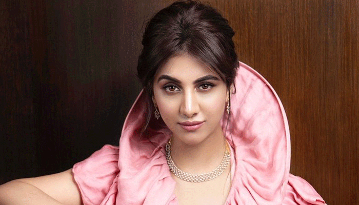 বলিউডে অভিষেক দেবের নায়িকার