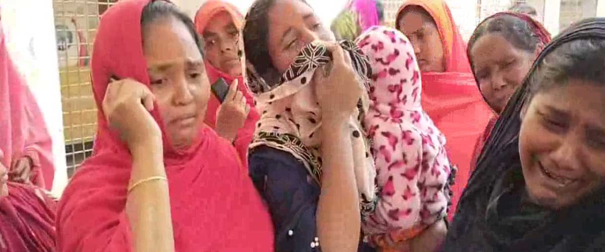 পাতা কুড়াতে গিয়ে গাছচাপায় গৃহবধূর মৃত্যু পাতা কুড়াতে গিয়ে গাছচাপায় গৃহবধূর মৃত্যু