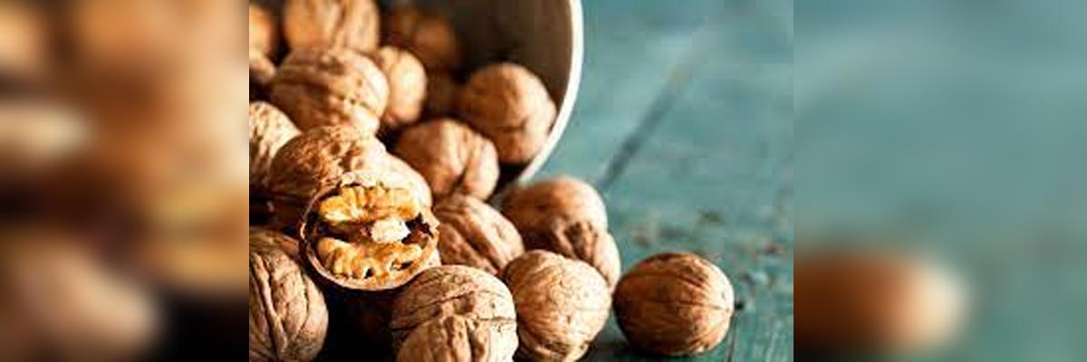আখরোট কেন খাবেন আখরোট কেন খাবেন