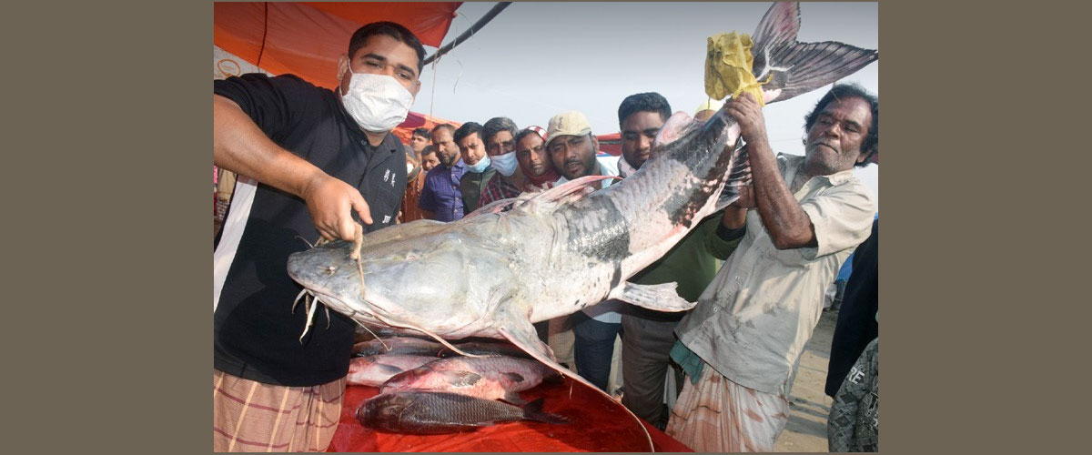 বগুড়ার ঐতিহ্যবাহী পোড়াদহের মেলা, করোনা থামাতে পারেনি মানুষের উপস্থিতি বগুড়ার ঐতিহ্যবাহী পোড়াদহের মেলা, করোনা থামাতে পারেনি মানুষের উপস্থিতি