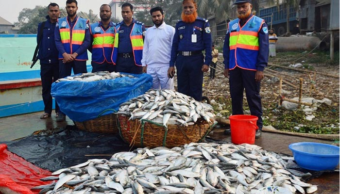 এতিমদের মাঝে বিলিয়ে দেওয়া হলো ৩৩০০ কেজি জাটকা