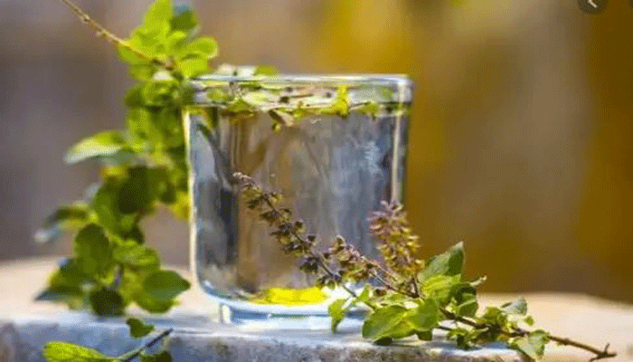 ফুসফুস সুস্থ রাখতে উপকারী যেসব ভেষজ