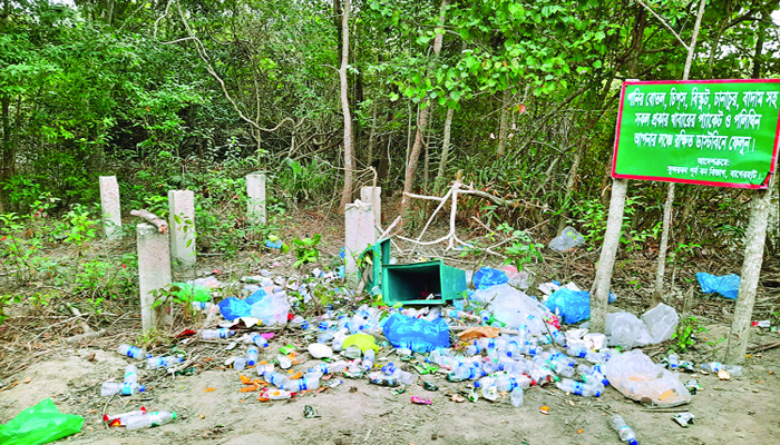 দূষণ বাড়ছে সুন্দরবনে