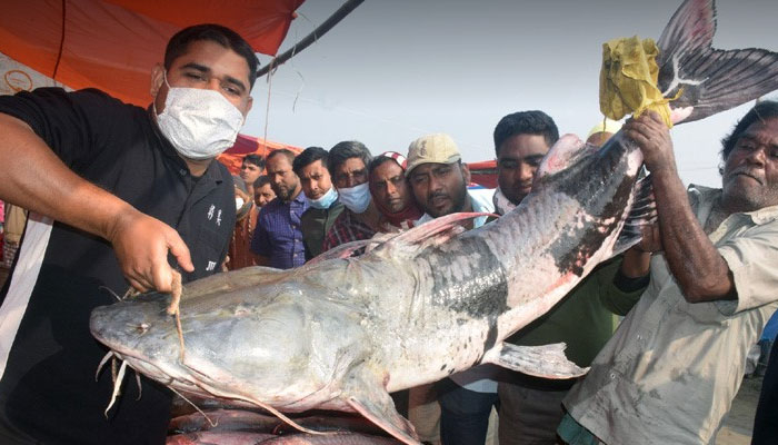বগুড়ার ঐতিহ্যবাহী পোড়াদহের মেলা, করোনা থামাতে পারেনি মানুষের উপস্থিতি