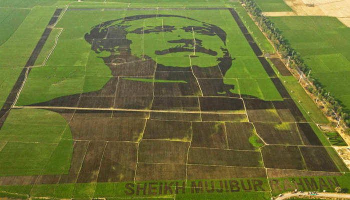 'শস্যচিত্রে বঙ্গবন্ধু' দেখলেন গিনেস বুক প্রতিনিধি