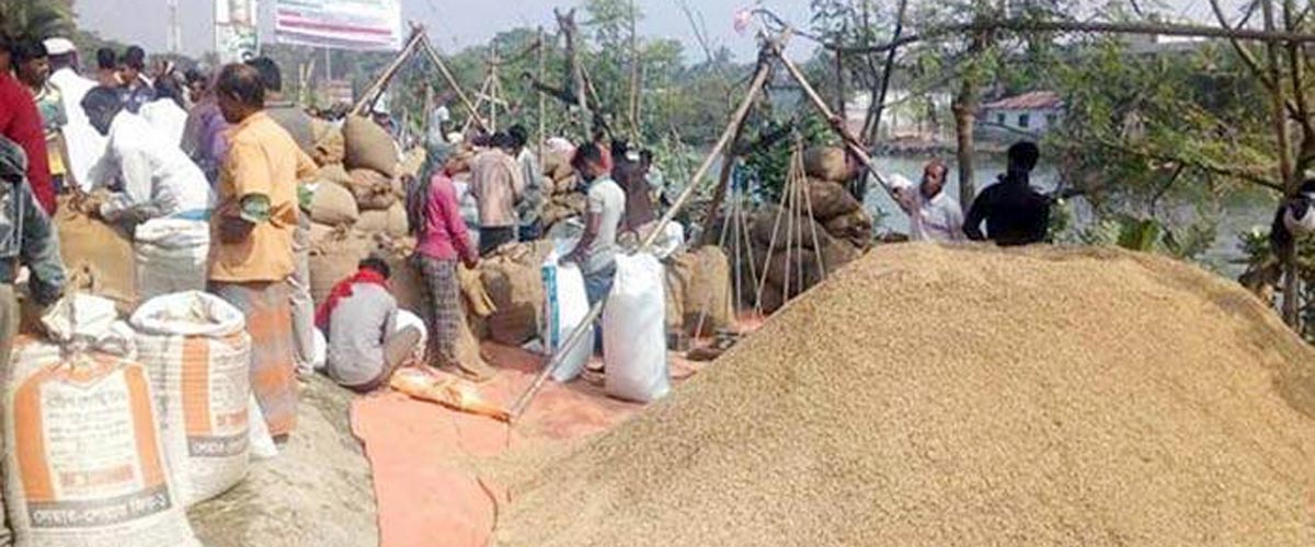 ২৭ টাকা দরে ধান ও ৪০ টাকা দরে সেদ্ধ চাল কিনবে সরকার ২৭ টাকা দরে ধান ও ৪০ টাকা দরে সেদ্ধ চাল কিনবে সরকার