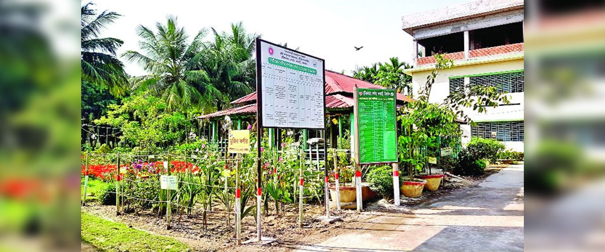 অনন্য এক মাতৃবাগান অনন্য এক মাতৃবাগান