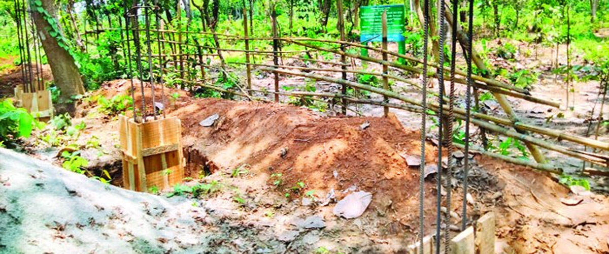 শতাব্দী প্রাচীন শ্মশানে বন বিভাগের বাগান শতাব্দী প্রাচীন শ্মশানে বন বিভাগের বাগান