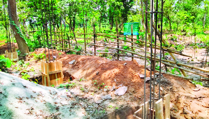 শতাব্দী প্রাচীন শ্মশানে বন বিভাগের বাগান