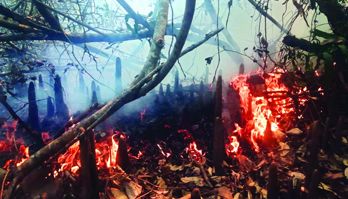বারবার আগুন, তবুও উদাসীন বন বিভাগ