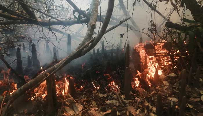 সুন্দরবনে ফের আগুন, নিয়ন্ত্রণে কাজ করছে ফায়ার সার্ভিস