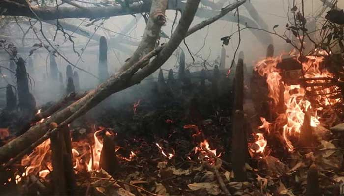 সুন্দরবনে ফের আগুন