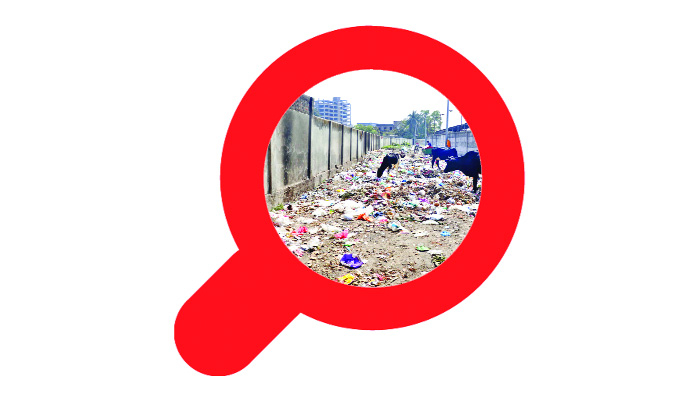 শিল্পপ্লটে পরিবার নিয়ে বসবাস