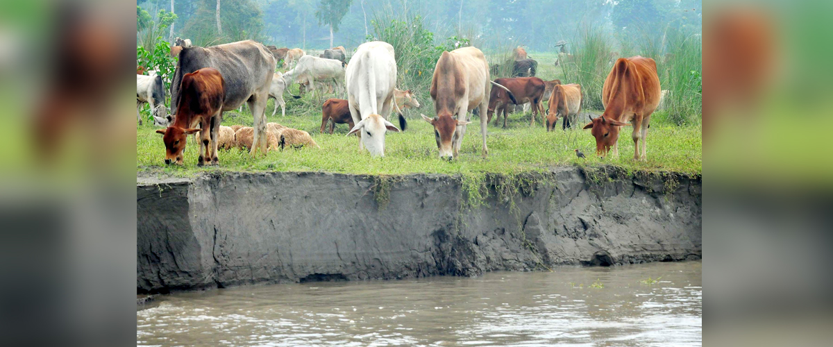 ১২ জেলায় নিম্নাঞ্চল প্লাবিত ১২ জেলায় নিম্নাঞ্চল প্লাবিত
