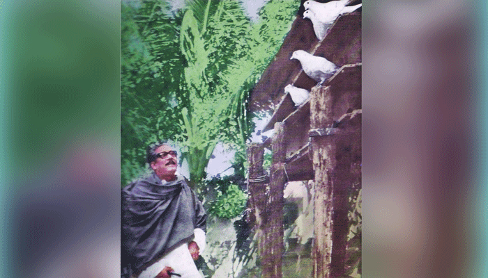 বঙ্গবন্ধু ও তার পায়রা