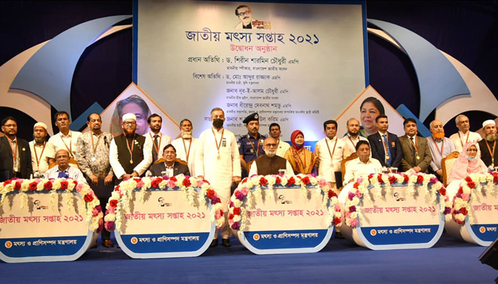 ২১ ব্যক্তি-প্রতিষ্ঠানের পদক অর্জন