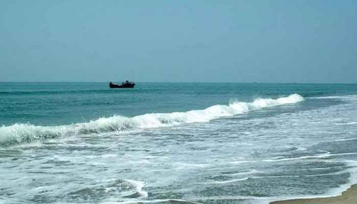 সৈকতে ভেসে এল মৃত তিমি