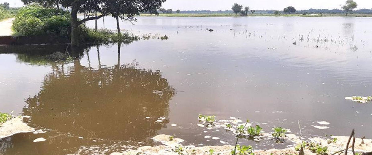 রাস্তা ভেঙে তলিয়ে গেছে ৩ হাজার একর জমির ফসল রাস্তা ভেঙে তলিয়ে গেছে ৩ হাজার একর জমির ফসল