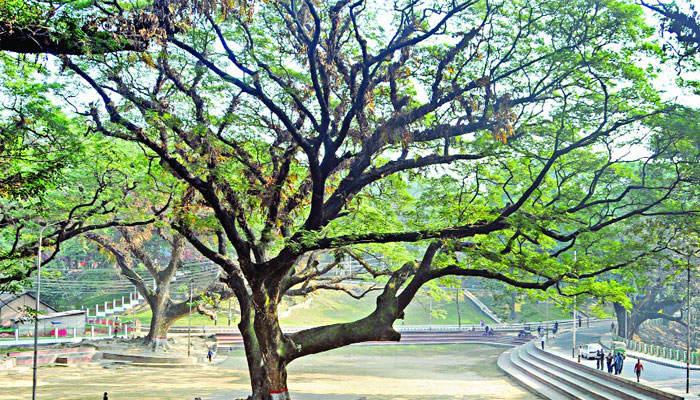 হাসপাতাল প্রকল্প বাতিলে সিআরবিতে সাইকেল র‌্যালি