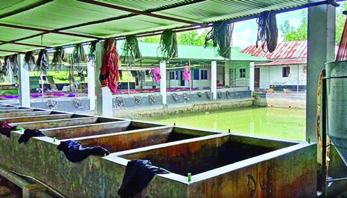 রেণু পোনায় সোনা