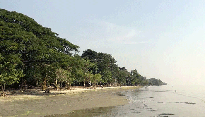 বিচ্ছিন্ন দ্বীপে বিদ্যুতের আলো