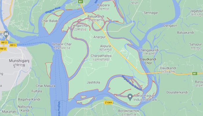 গজারিয়ায় ভাইয়ের হাতে ভাই খুন