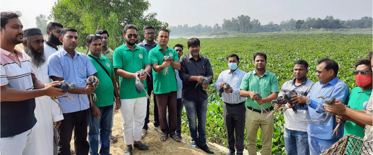 শিকারির কবল থেকে মুক্ত হলো সাড়ে তিনশ' পাখি শিকারির কবল থেকে মুক্ত হলো সাড়ে তিনশ' পাখি
