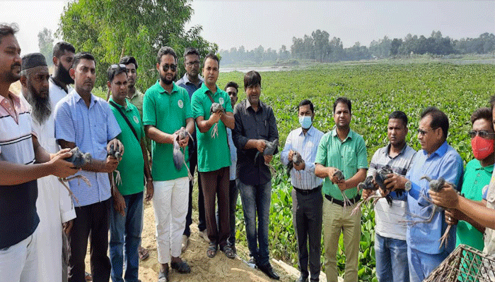 শিকারির কবল থেকে মুক্ত হলো সাড়ে তিনশ' পাখি