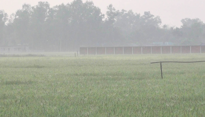 তেঁতুলিয়ায় সর্বনিম্ন তাপমাত্রা রেকর্ড