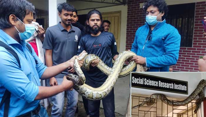 চবিতে উদ্ধার ১২ ফুট লম্বা অজগরটি ছাড়া হলো জঙ্গলে