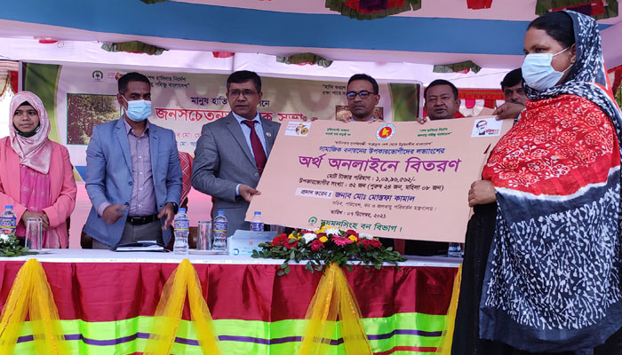 শেরপুরের তিন উপজেলায় হবে হাতি অভয়াশ্রম: পরিবেশ সচিব