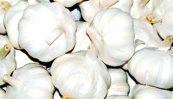 রসুনের ঘ্রাণেও ঝাঁজ