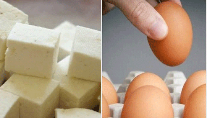 পনির না ডিম? ওজন কমাতে কোনটি উপকারী