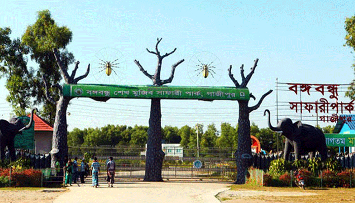 গাজীপুরের সাফারি পার্কের সব কর্মকর্তাকে সরিয়ে নেওয়া হচ্ছে