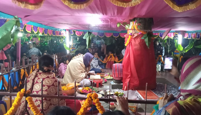 বট-পাকুড়ের বিয়ে!