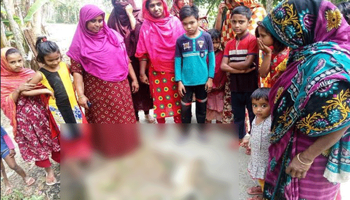 একদিনের ব্যবধানে বিদ্যুৎস্পর্শে দুই হনুমানের মৃত্যু