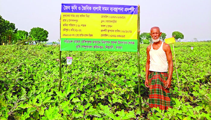 সত্যি, ফসলে নেই একরত্তি বিষ!