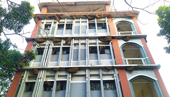 এক ভবনে ৭০ মৌচাক!