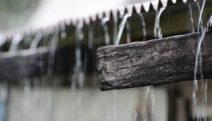 চলতি মাসে আরও দুই দফা বৃষ্টির সম্ভাবনা